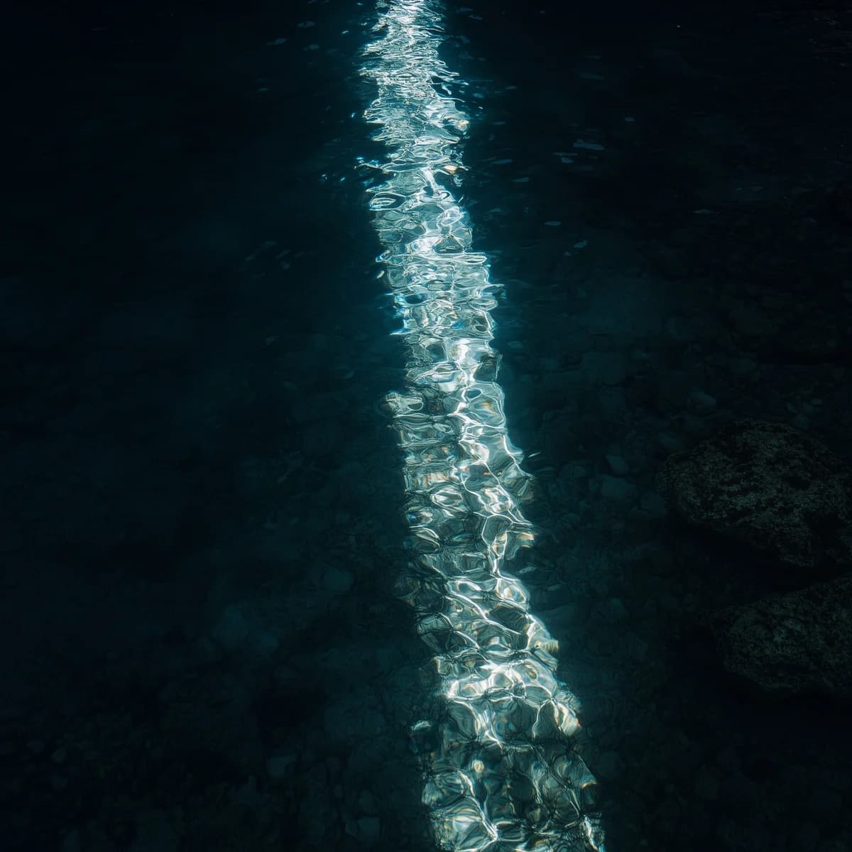 Rays Of Light