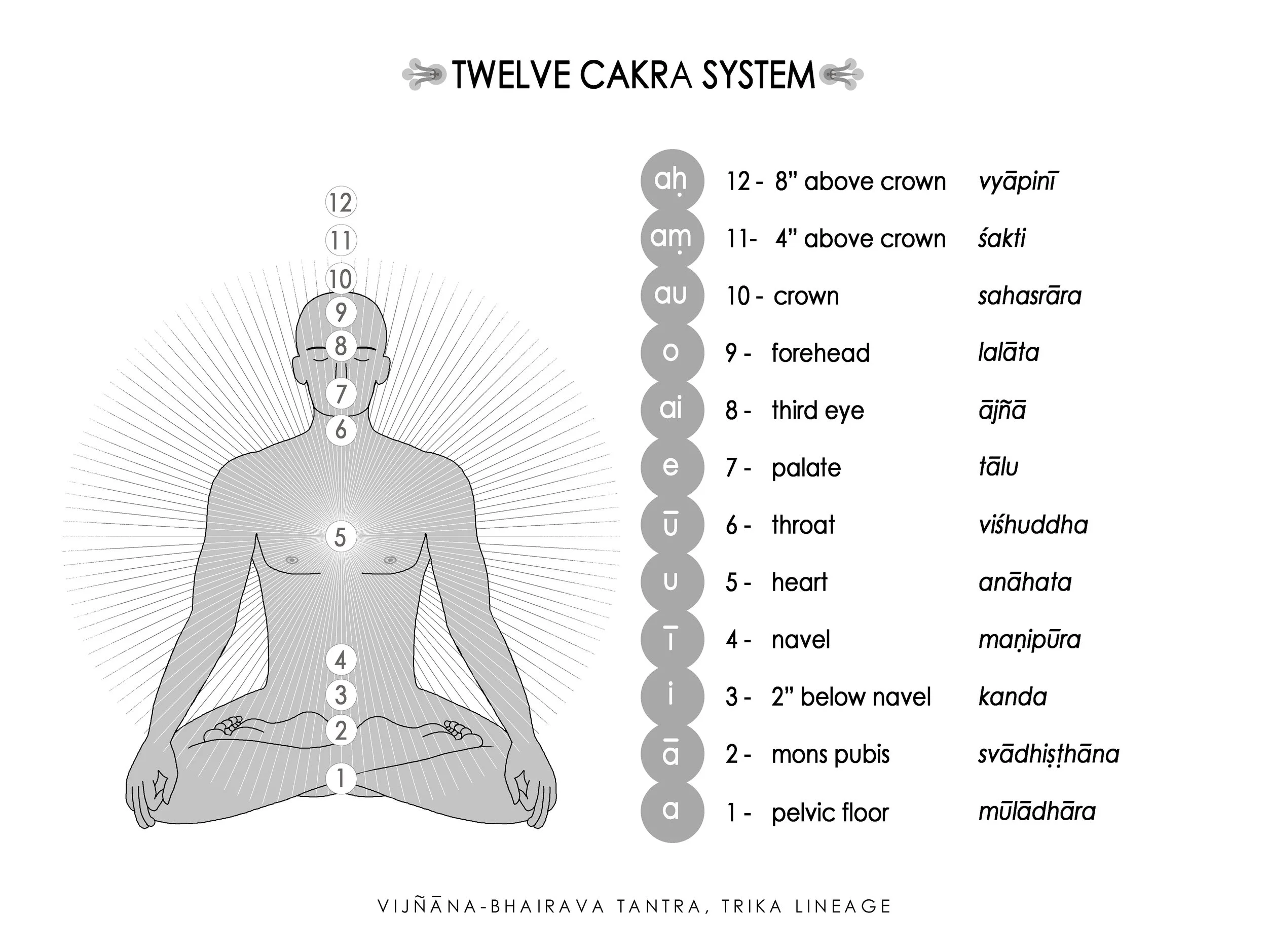 Twelve Cakra System diagram showing the body locations, vowel sounds, and Sanskrit names of the twelve cakras